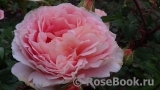 Abraham Darby