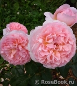 Abraham Darby