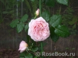 Abraham Darby