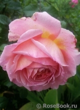 Abraham Darby