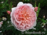 Abraham Darby