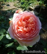 Abraham Darby