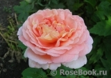 Abraham Darby