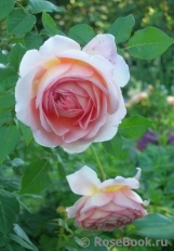 Abraham Darby