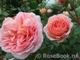 Abraham Darby