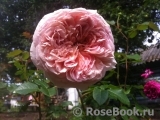 Abraham Darby