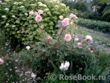 Abraham Darby