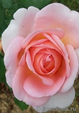 Abraham Darby