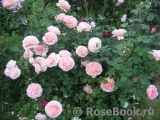 Abraham Darby