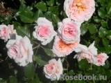 Abraham Darby