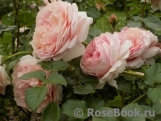 Abraham Darby