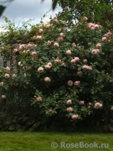 A Shropshire Lad