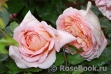 Abraham Darby