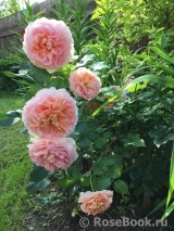 Abraham Darby