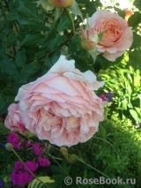 Abraham Darby