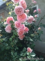 Abraham Darby