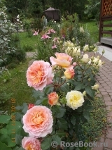 Abraham Darby