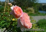 Abraham Darby