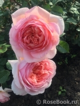 Abraham Darby