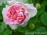 Abraham Darby