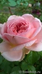 Abraham Darby