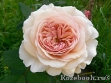 A Shropshire Lad