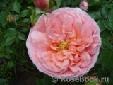 Abraham Darby