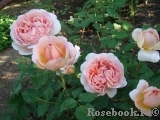 Abraham Darby