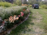 Gartenspass ®