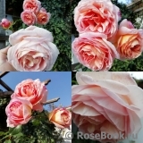 Abraham Darby