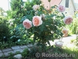 Abraham Darby