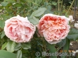 Abraham Darby