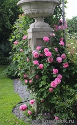 Gertrude Jekyll