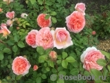 Abraham Darby