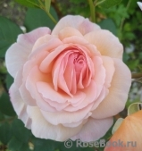 A Shropshire Lad