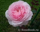 A Shropshire Lad