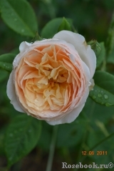 A Shropshire Lad