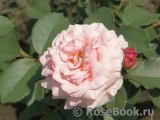 A Shropshire Lad