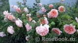 Abraham Darby