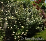 Mon Jardin et Ma Maison