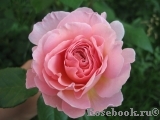 Abraham Darby