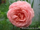 Abraham Darby