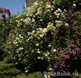 Mon Jardin et Ma Maison