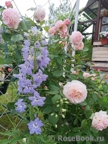 A Shropshire Lad