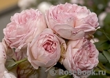 Abraham Darby