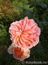 Abraham Darby