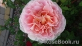 Abraham Darby