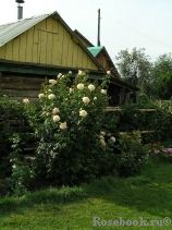 Jardins de Bagatelle 