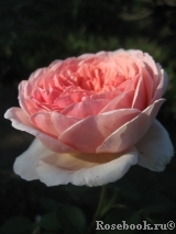 Abraham Darby