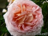 Abraham Darby